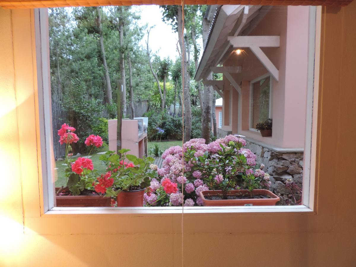 Puerto De Lilas Las Gaviotas Εξωτερικό φωτογραφία